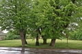 img-071
