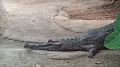 img-039